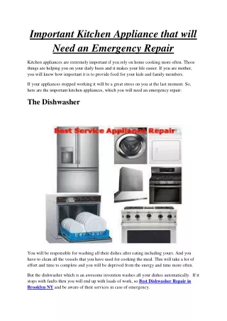 Important Kitchen Appliance that will Need an Emergency Repair