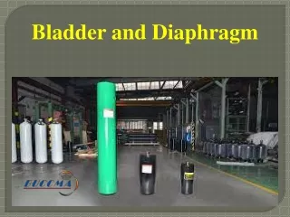 bladder and diaphragm