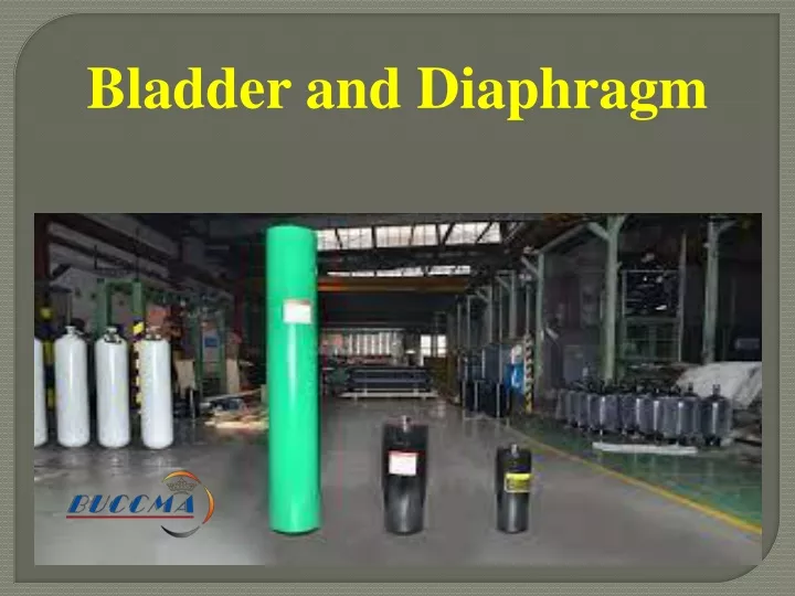 bladder and diaphragm