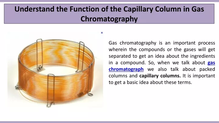 understand the function of the capillary column