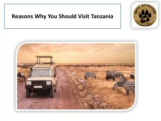 Tanzania safari company