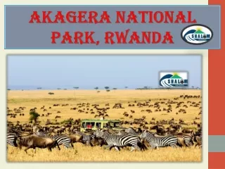 AKAGERA NATIONAL PARK, RWANDA