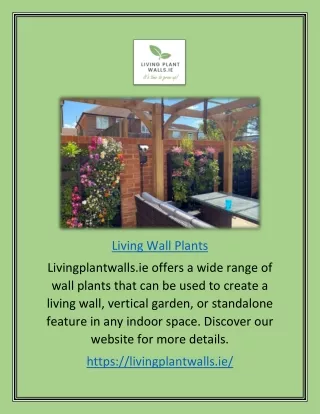 Living Wall Plants | Livingplantwalls.ie