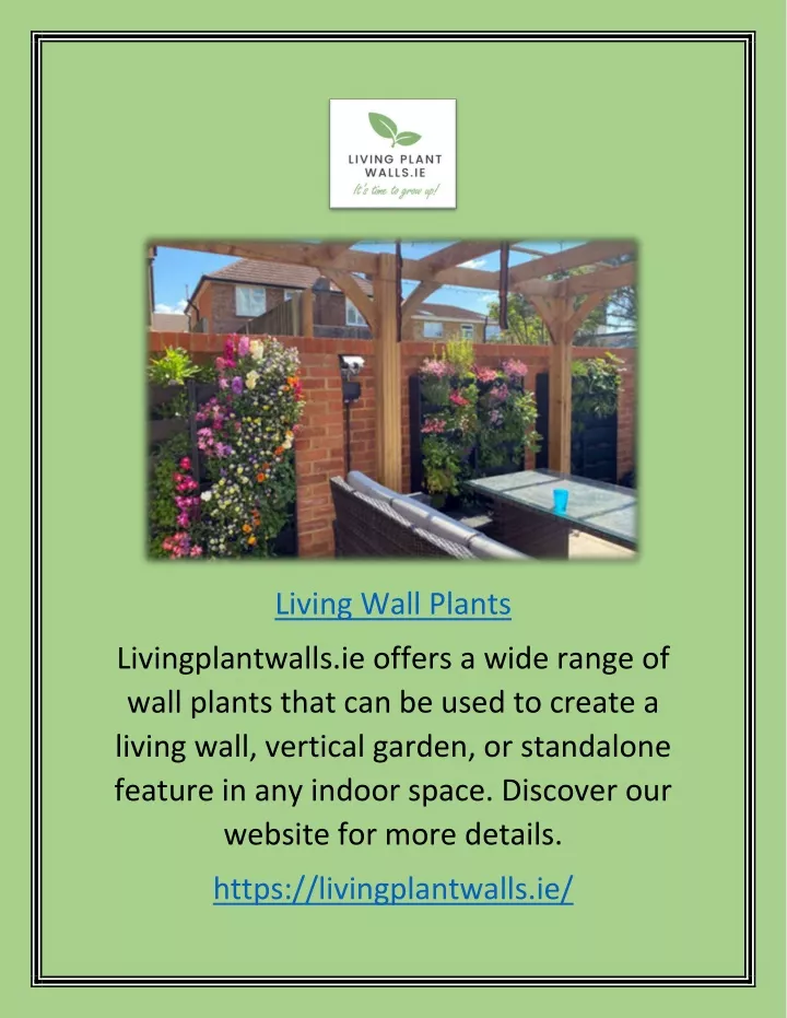 living wall plants