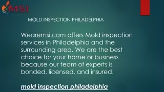 mold inspection philadelphia
