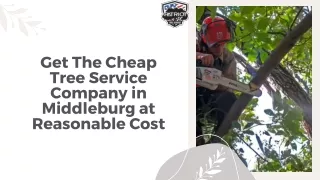 Get The Cheap Tree Service Company in Middleburg at Reasonable Cost
