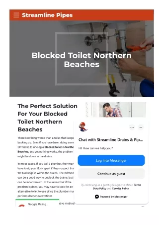 Blocked Toilet Northern Beaches