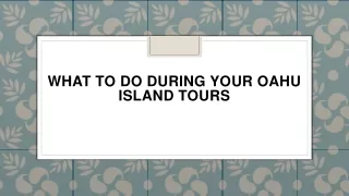 what to do during your oahu island tours
