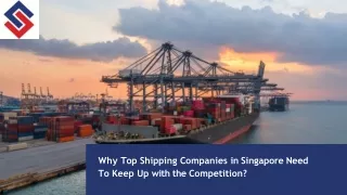 Why Top Shipping Companies in Singapore Need To Keep Up with the Competition