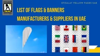 Flags & Banners pdf
