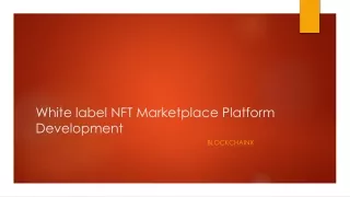 white label nft marketplace platform development