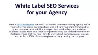 White Label SEO Services for your Agency