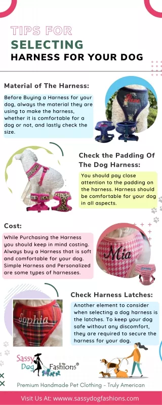 Tips For Selecting Harness For Your Dog
