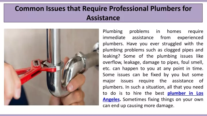 common issues that require professional plumbers