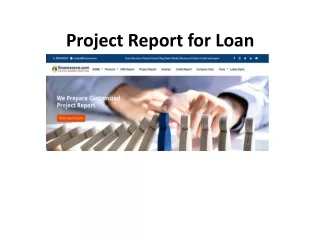 project report for loan