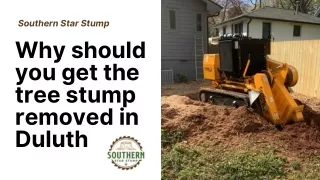 Why should you get the tree stump removed in Duluth