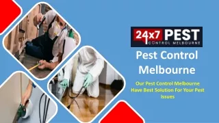 pest control melbourne