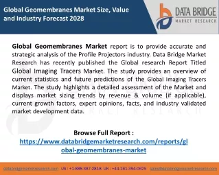 global geomembranes market size value