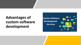 Custom Software Development Company in Chandigarh