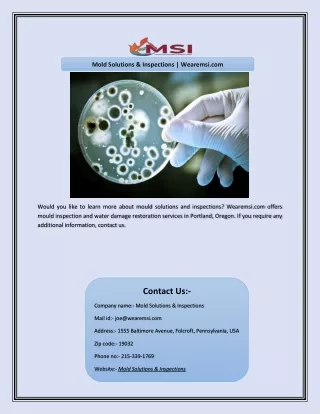 mold solutions inspections wearemsi com