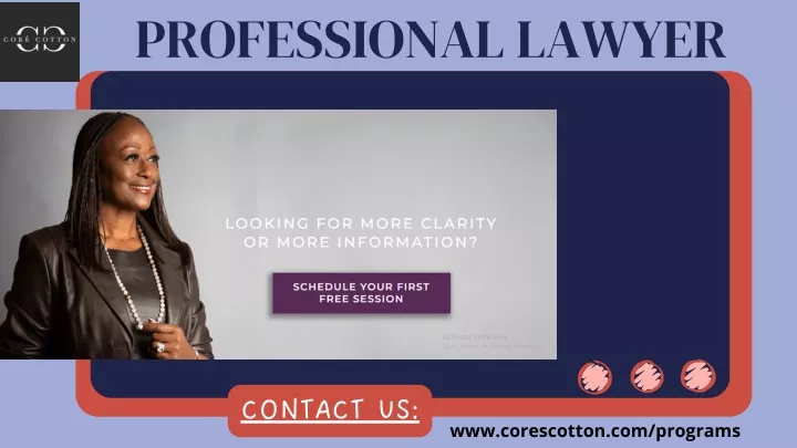 professional lawyer