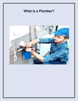 what is a plumber