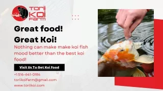 koi food for sale in Dix Hills, New York City