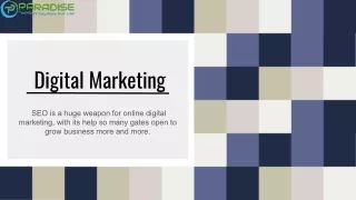 Digital Marketing Company in Mohali