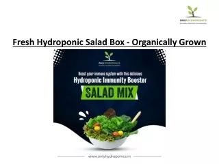 fresh hydroponic salad box organically grown