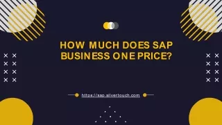 how much does sap business one price