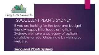 succulent plants sydney