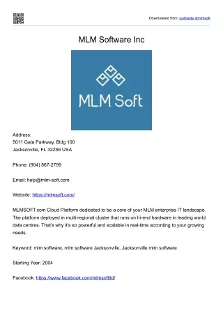 MLM Software Inc