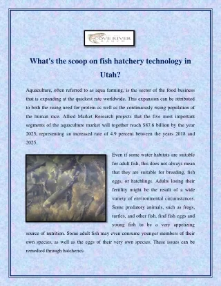 What's the scoop on fish hatchery technology in Utah