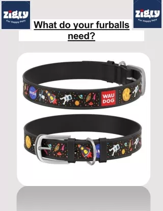 What do your furballs need