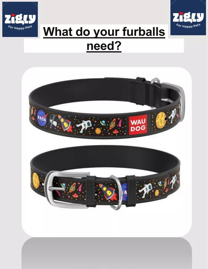 what do your furballs need
