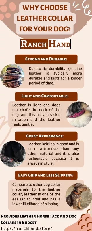 Why Choose Leather Collar For Your Dog