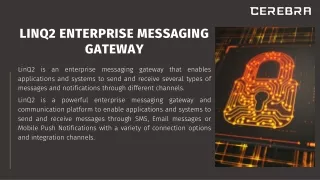 Get Linq2 Enterprise Messaging Gateway in Saudi Arabia