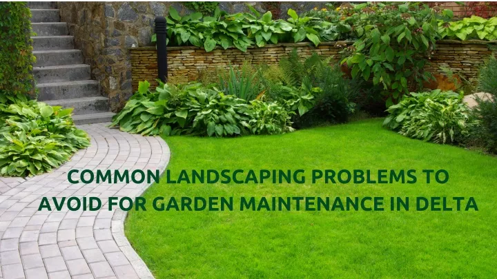 common landscaping problems to avoid for garden