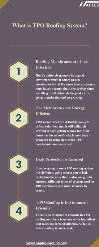 What is TPO Roofing System