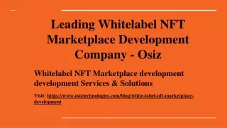 Whitelabel NFT Marketplace Development Company