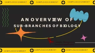 sampleassignment