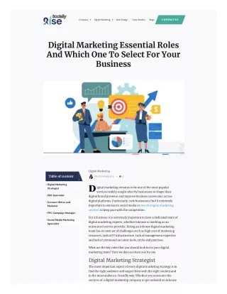 digital-marketing-essential-roles-and-which-one-to-select-for-your-business