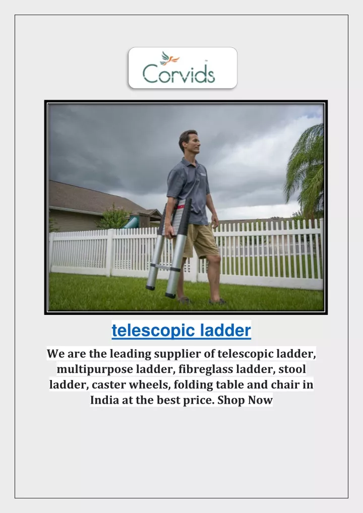 telescopic ladder we are the leading supplier