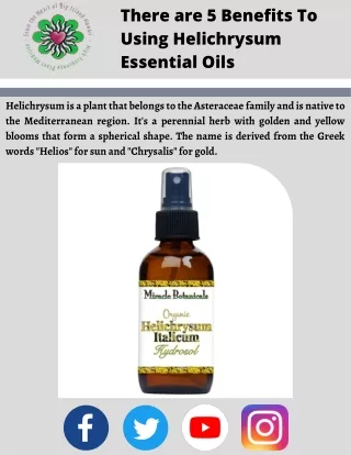Here are 5 Benefits of Using Helichrysum Essential Oils