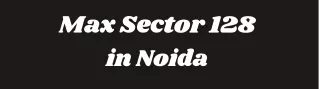 max sector 128 in noida