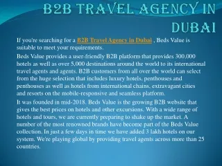 B2B Travel Agency in Dubai
