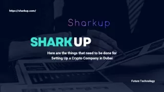 Setting Up a Crypto Company in Dubai