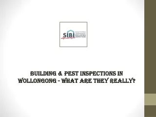 Building & Pest Inspections in Wollongong - what are they really