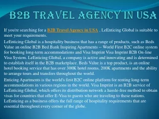 B2B Travel Agency in USA