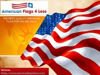 Buy US State Flags online - 100 Made in USA